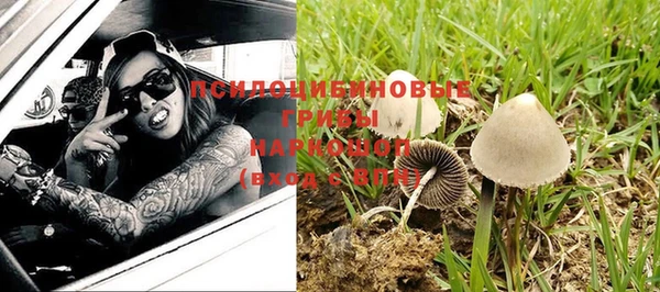 бутират Арсеньев