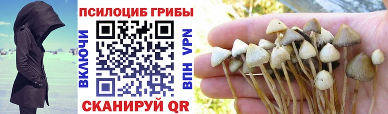 нарко площадка состав Крым Псилоцибиновые грибы GOLDEN TEACHER наркота